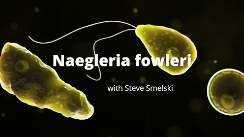 Naegleria fowleri with Steve Smelski