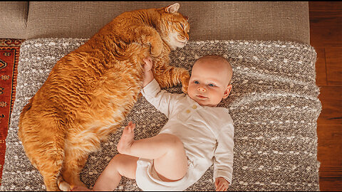 cat loves baby crazy funniest video