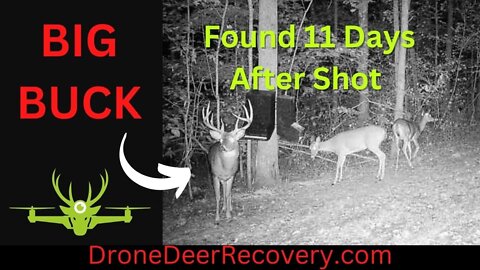 Buck Found 11 Days After Shot. Using Drone, Not what we were trying to find, Drone Deer Recovery