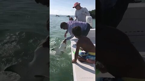 Shark fishing fail 😂 Shark Attack #shorts #short #trending #shortsvideo