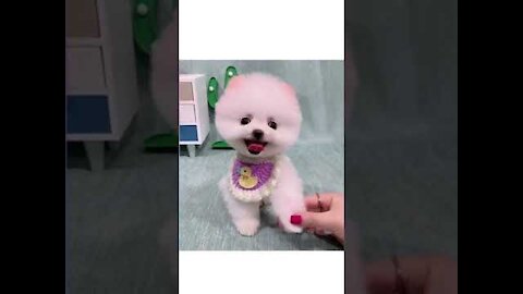 Cute Cats & Dogs Funny Videos 2021