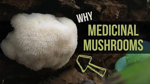 You * Should * ALSO EAT these 5 Medicinal/Functional Mushrooms. Here's Why!