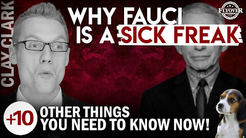 Why Does Dr. Fauci Use Your Tax Dollars to Conduct Horrific Experiments On Dogs?
