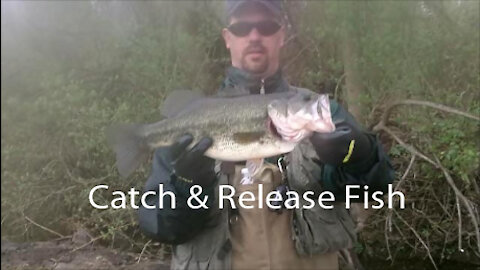 Catch and Release Big Fish