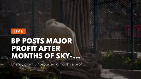 BP posts major profit after months of sky-high gasoline prices