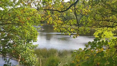 Walk Along The Cannel To Sparth Reservoir, Colne Valley