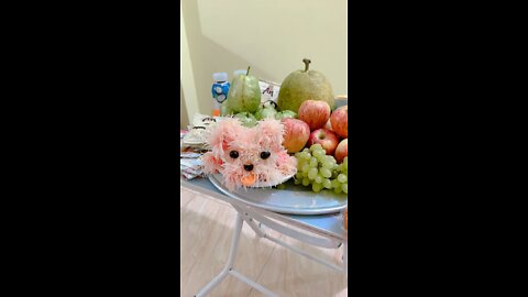 Dog made of pomelo