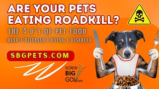 Are Your Pets Eating Road Kill