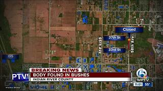 Detectives investigating body found in bushes in Indian River County