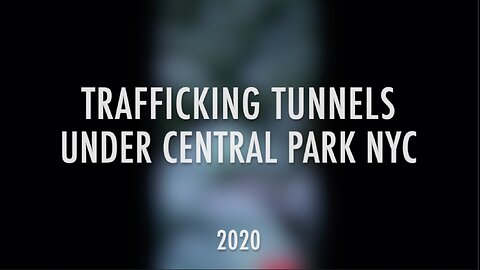 TRAFFICKING TUNNELS UNDER CENTRAL PARK, NYC - 2020