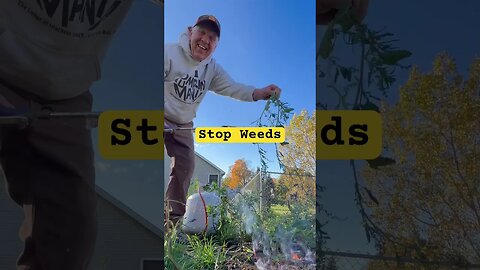 Stop Weeds from coming back #bubba #garden#pumpkinpatch