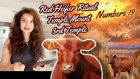 Red Heifer | 3rd Temple | Ulterior Motives to War