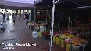 SOUTH AFRICA - Cape Town - Coronavirus: Cape Town's iconic lower sellers hit hard by Covid-19 outbreak (Video) (myn)