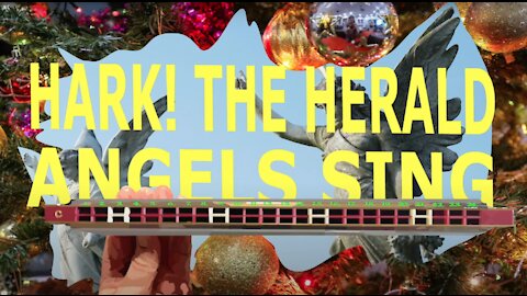 How to Play Hark the Herald Angels Sing on a Tremolo Harmonica with 24 Holes Part Two