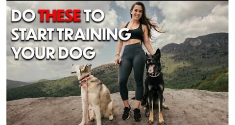 DOG TRAINING 101: HOW TO START TRAINING ANY DOG