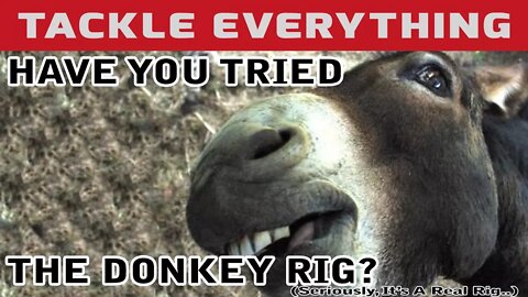 THE DONKEY RIG IS AN ACTUAL THING. HAVE YOU TRIED IT? Donkey Rigging + MTB Unboxing