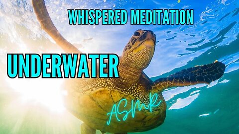 ASMR | Dive into tranquillity - whispered meditation