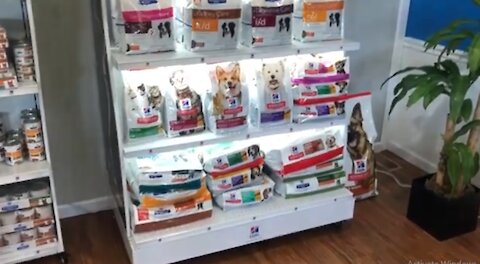 What’s the best dog food Vet recommendation