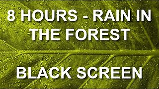 8 hours - RAIN IN THE FOREST - BLACK SCREEN