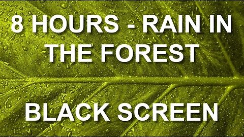 8 hours - RAIN IN THE FOREST - BLACK SCREEN