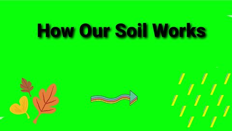 HOW OUR SOIL WORKS! (The Cycle)