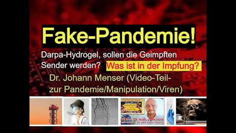 Fake - Pandemie