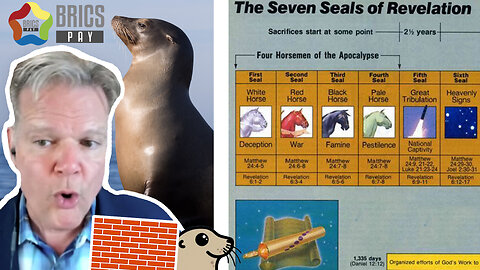 Wo With Bo (Part 5) | Are We Going to See MORE SEALS & BRICS?!?!!!!!!!!!!!!!!!