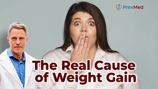 The Real Cause of Weight Gain
