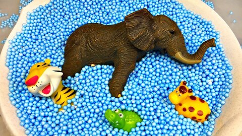 Learn Colors with Animals and Farm Surprise Toy for Kid Child with Foam Beads