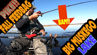 Awesome Pike Topwater Wakebait Action While Kayak Bass Fishing on Big Muskego Lake