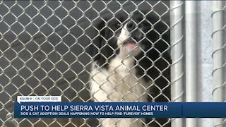 Sierra Vista Animal Care Center in need of volunteers