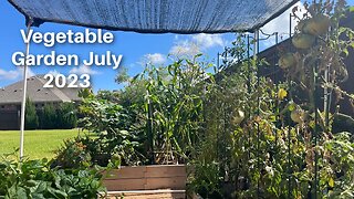 Zone 8B Vegetable Gardening-July 2023