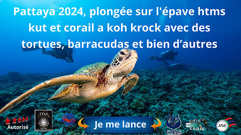 Pattaya 2024, plongée sur l'épave htms kut et corail a koh krock avec des tortues, barracudas