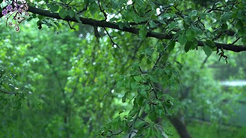 Meditation in the rain in the forest