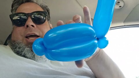 Day 199 - A new Balloon Swan