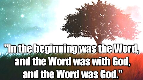 The Teachings of Jesus Christ, John 1:1-18. Jesus is God and all things were created through Him!
