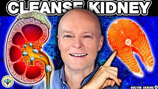 Top 10 SUPER FOODS That Can Heal Your KIDNEYS