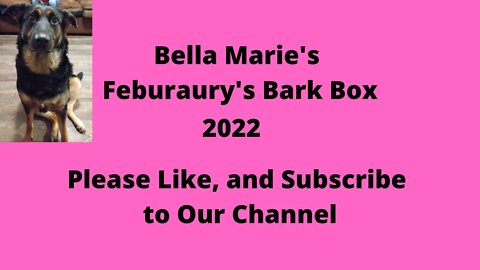 Bella's February's Bark Box