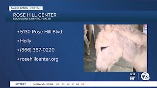 Rose Hill Center Animal Care Program