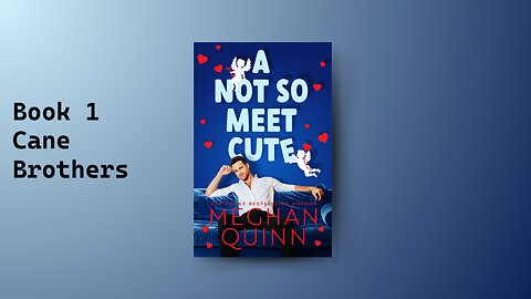 "A Not so Meet Cute by Meghan Quinn"