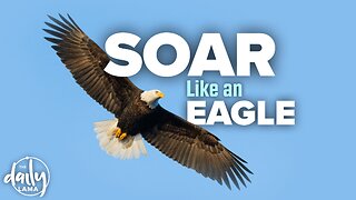 Soar Like an Eagle