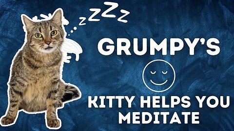 Grumpy's Kitty Helps You Meditate, Cures Insomnia