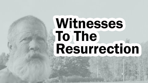 Witnesses to the Resurrection of Jesus Christ