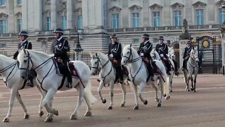 Beautiful white police horses South African state visit #buckinghampalace