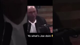 Joe Rogan likes Miley Cyrus…a lot #memes #lol #joerogan #shorts