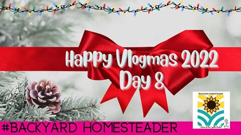 Vlogmas 2022 Day 8