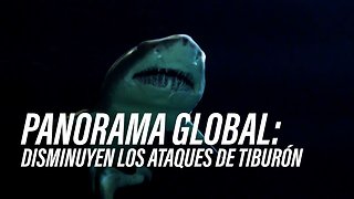 Los ataques de tiburón disminuyeron drásticamente en 2018