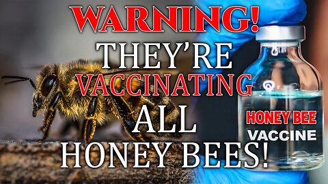 WARNING! They're VACCINATING All HONEY BEES! • Y'ALL Need To HEAR This!