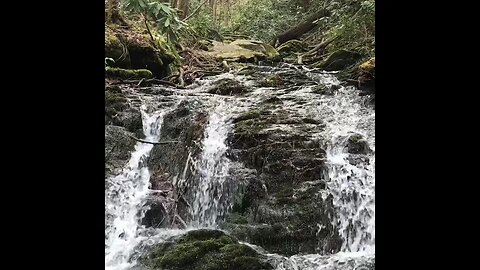 Cades cove 2016.