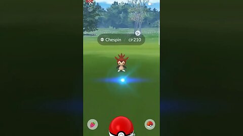 #pokemon #pokémon #pokemongo #pokémongo #shiny #shinypokemon #communityday #pokemongocommunityday